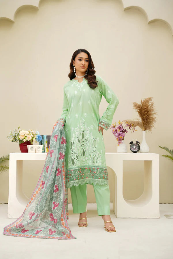 Virsa By Anaya Noor Chikenkari Lawn With Aplic 3PC
