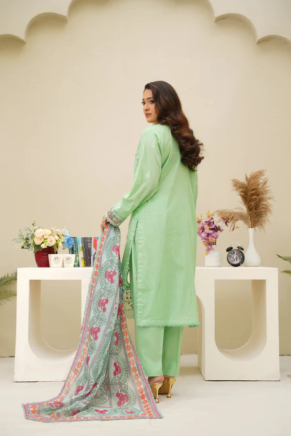 Virsa By Anaya Noor Chikenkari Lawn With Aplic 3PC