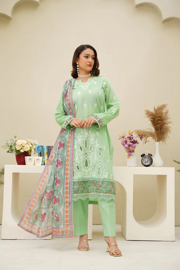 Virsa By Anaya Noor Chikenkari Lawn With Aplic 3PC