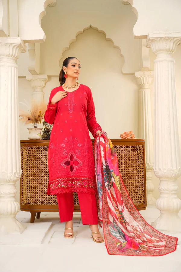 Virsa By Anaya Noor Chikenkari Lawn With Aplic 3PC