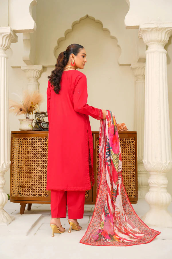 Virsa By Anaya Noor Chikenkari Lawn With Aplic 3PC