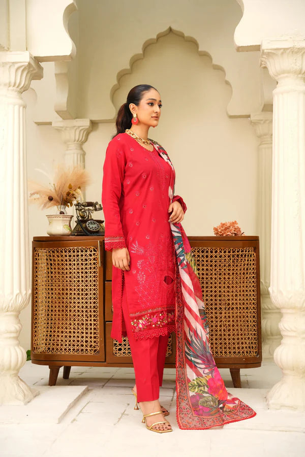 Virsa By Anaya Noor Chikenkari Lawn With Aplic 3PC