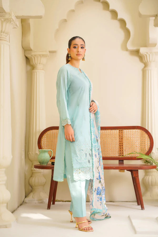 Virsa By Anaya Noor Chikenkari Lawn With Aplic 3PC