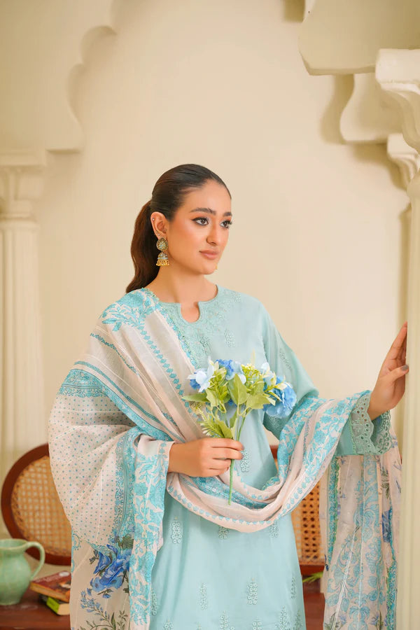 Virsa By Anaya Noor Chikenkari Lawn With Aplic 3PC