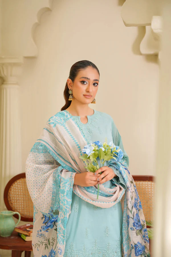 Virsa By Anaya Noor Chikenkari Lawn With Aplic 3PC