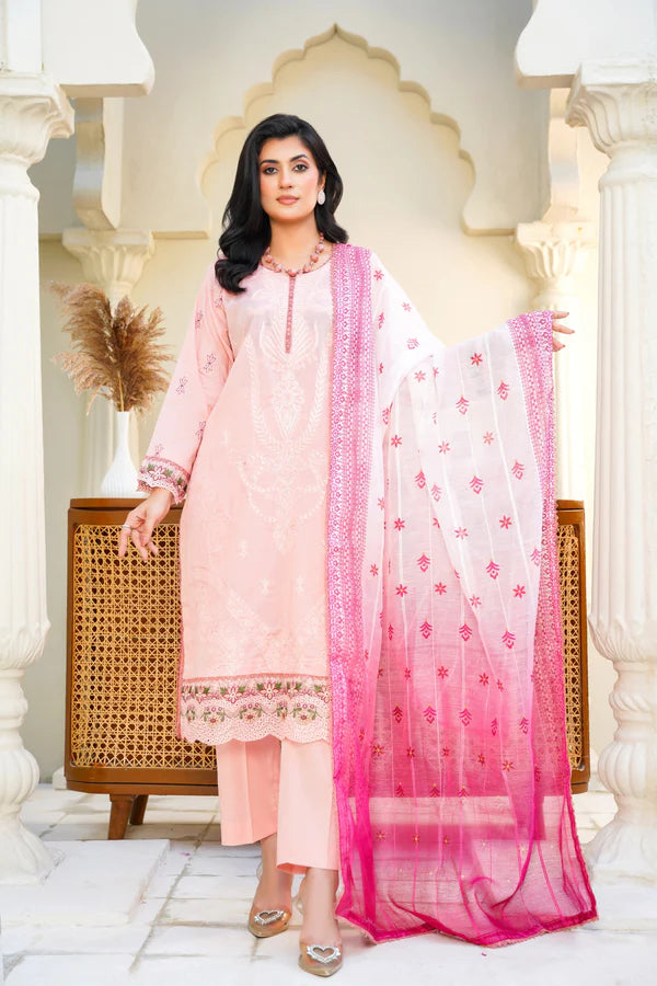 Virsa By Anaya Noor Chikenkari Lawn With Aplic 3PC