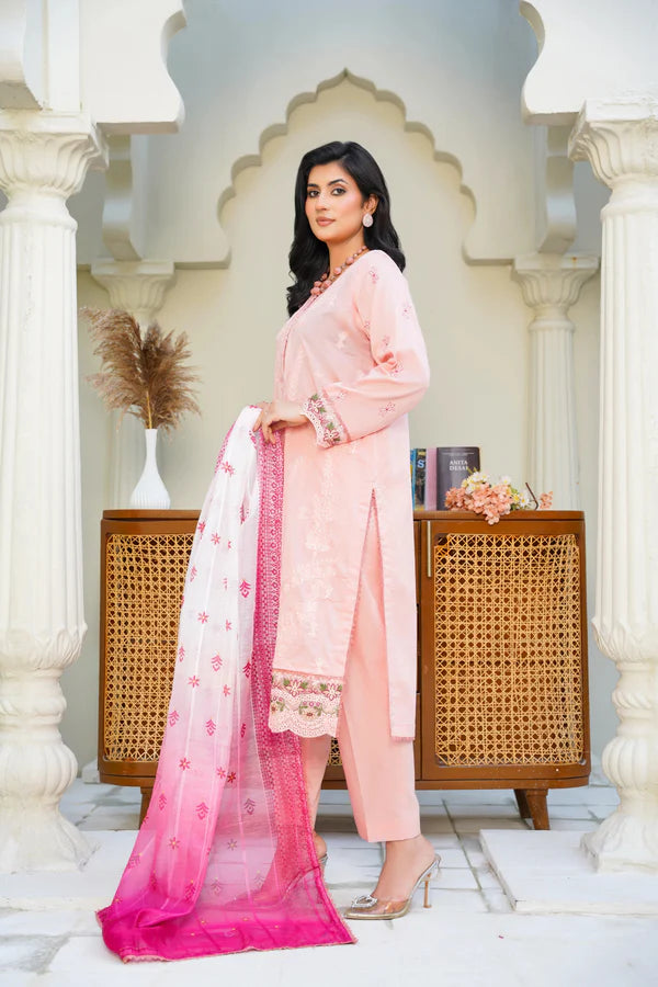 Virsa By Anaya Noor Chikenkari Lawn With Aplic 3PC
