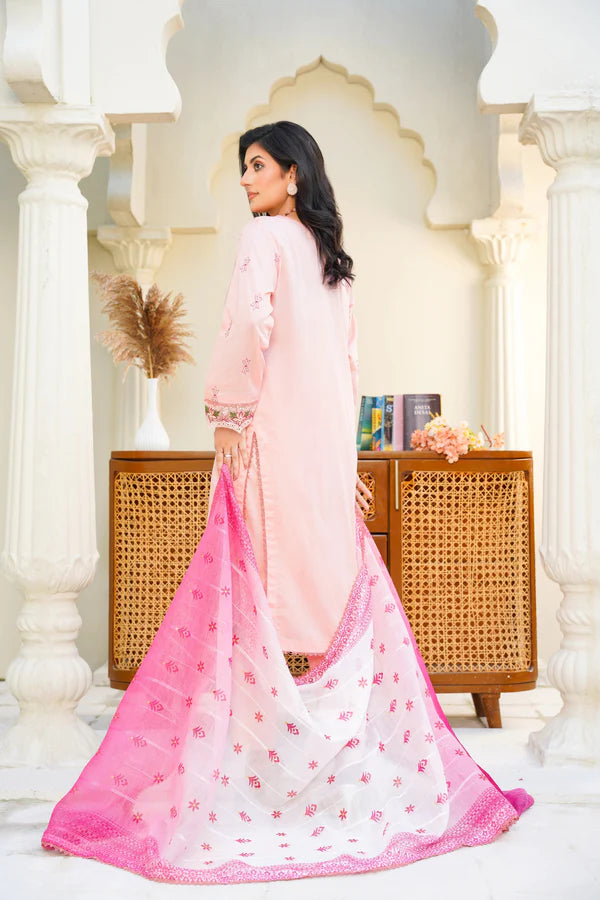 Virsa By Anaya Noor Chikenkari Lawn With Aplic 3PC