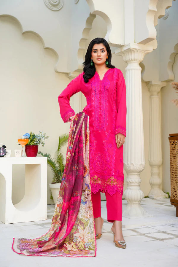 Virsa By Anaya Noor Chikenkari Lawn With Aplic 3PC