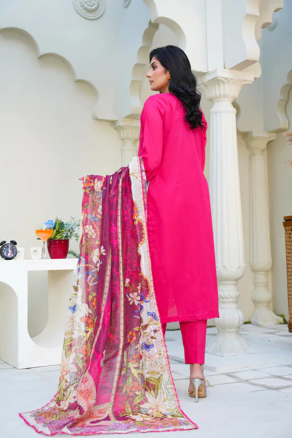 Virsa By Anaya Noor Chikenkari Lawn With Aplic 3PC