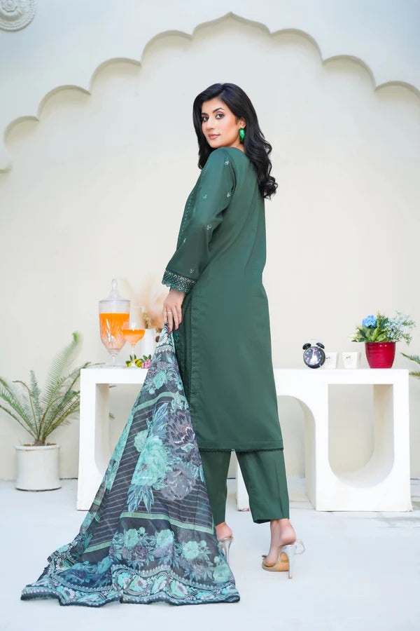 Virsa By Anaya Noor Chikenkari Lawn With Aplic 3PC