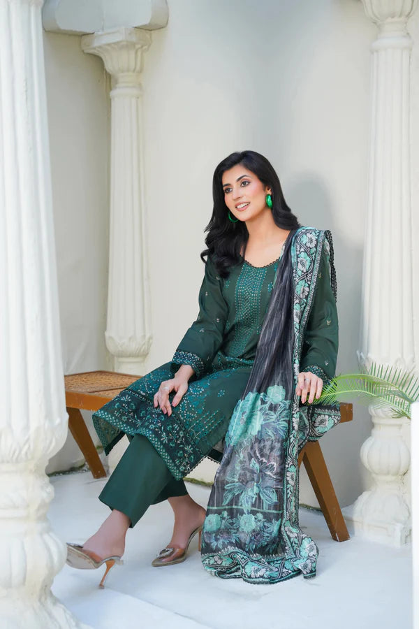 Virsa By Anaya Noor Chikenkari Lawn With Aplic 3PC