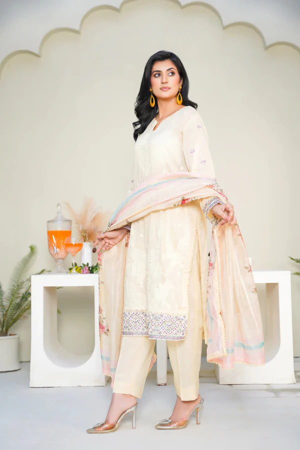 Virsa By Anaya Noor Chikenkari Lawn With Aplic 3PC