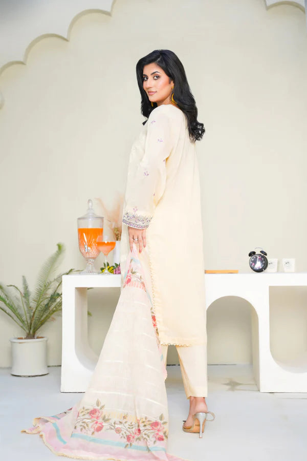 Virsa By Anaya Noor Chikenkari Lawn With Aplic 3PC